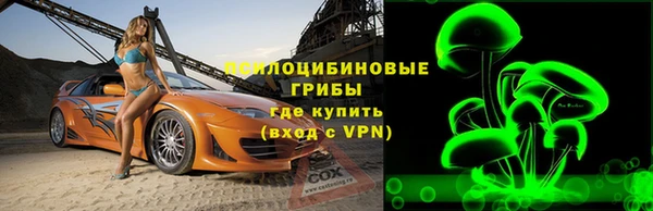 мдпв Вязьма