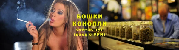 мдпв Вязьма