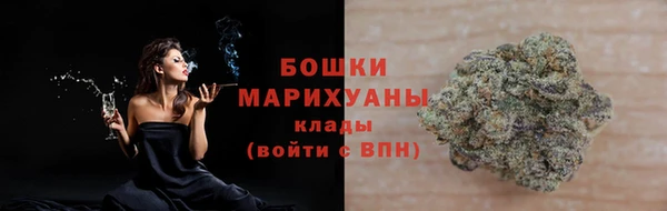 мдпв Вязьма